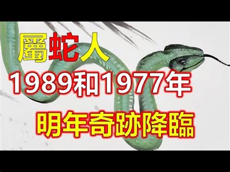 1989年 蛇 五行|1989年属蛇是什么命，89年出生五行属什么